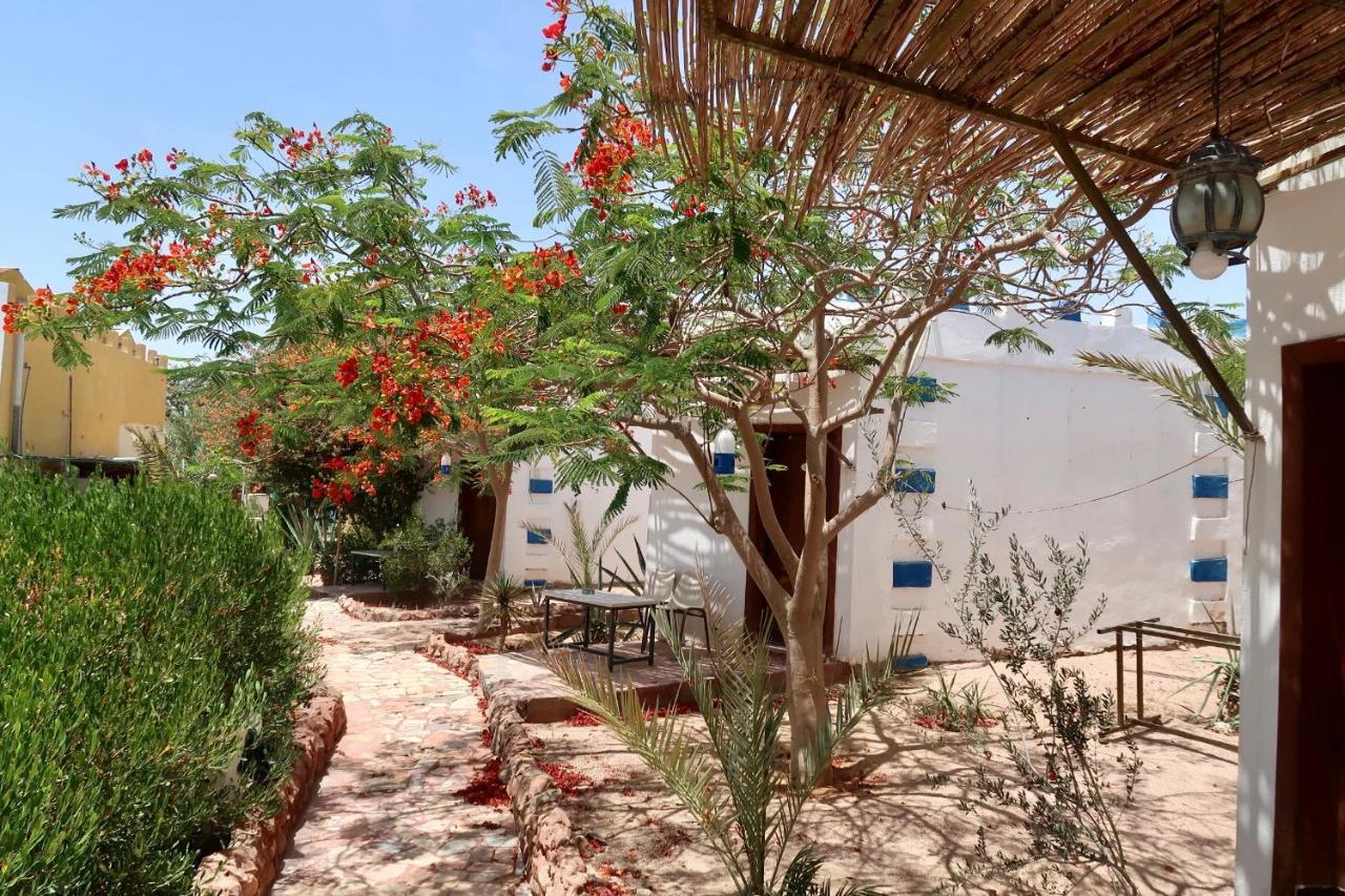 Bedouins Inn Village Aqaba Extérieur photo